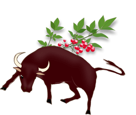 09Bull.gif